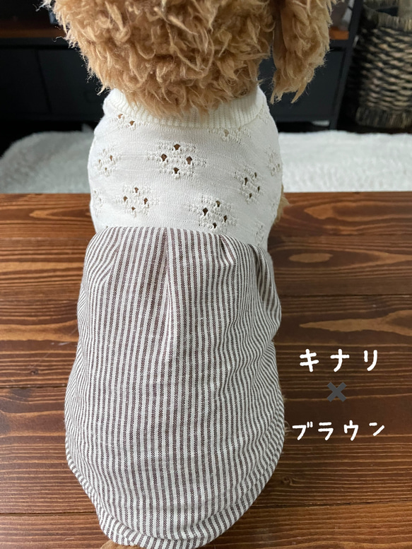 犬服‼︎レースニットと綿麻ストライプのワンピ☆XS.S.M 8枚目の画像