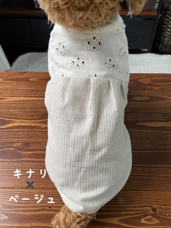 犬服‼︎レースニットと綿麻ストライプのワンピ☆XS.S.M 9枚目の画像