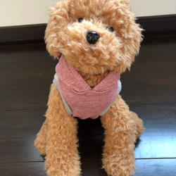 犬服‼︎Sサイズ グレー星柄 ピンク 2枚目の画像