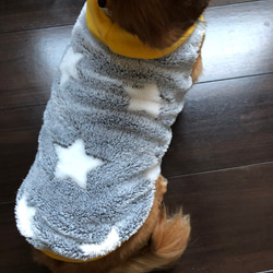 犬服‼︎星柄グレーボア イエロー⭐︎ XSのみ 3枚目の画像