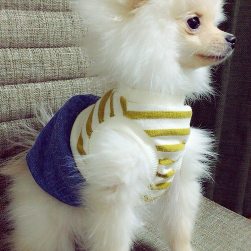 犬服⭐︎ハンドメイド♡ボーダーワンピース