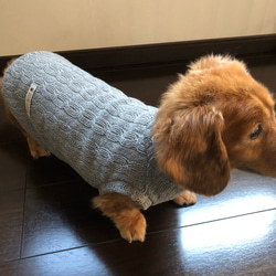 犬服！ケーブルニット縄編みグレー⭐︎完成品Sサイズのみ 3枚目の画像