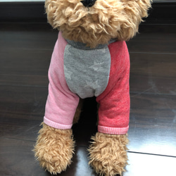 犬服‼︎フルーツ柄肩紐リボンキャミソール レモン☆XS.S.M.DXS.DS.DM