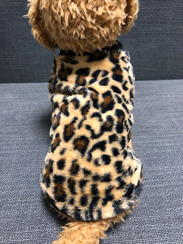 犬服‼︎レオパード柄☆XS.S.M.DXS.DS.DM ペット服・アクセサリー Etui