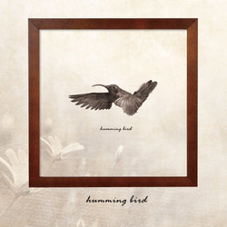 ポスター『humming bird Free Photo Style.』　L2フレーム付き （正方形配置） 1枚目の画像