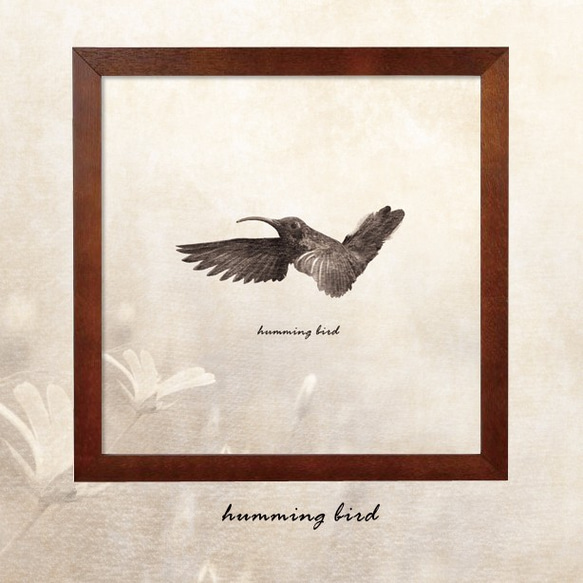 ポスター『humming bird Free Photo Style.』　L2フレーム付き （正方形配置） 1枚目の画像
