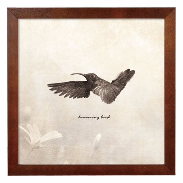 ポスター『humming bird Free Photo Style.』　L2フレーム付き （正方形配置） 3枚目の画像