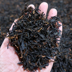 ほんのり甘みを感じられる 静岡県産の紅茶 復刻熟成紅茶 PapaTea(パパティー)です。 3枚目の画像
