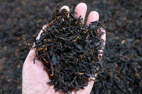 ほんのり甘みを感じられる 静岡県産の紅茶 復刻熟成紅茶 PapaTea(パパティー)です。 3枚目の画像