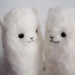 【訂做】中號，蓬鬆的白色羊駝毛 第5張的照片