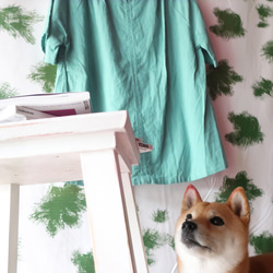 亞麻棉質插肩上衣（免費/翠綠色） 第9張的照片