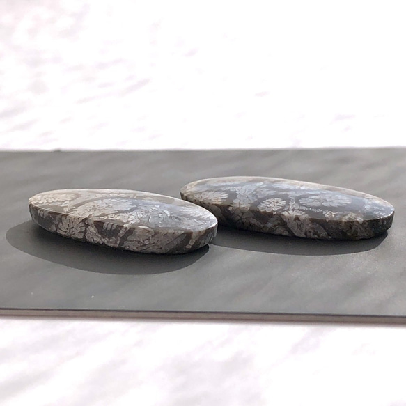 ブラックフォッシルコーラル[134] 26x12mm ペア　天然石ルース／カボション 6枚目の画像