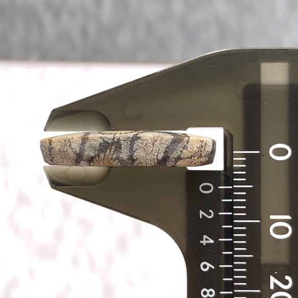 ブラックフォッシルコーラル[136] 15Cts 26x13mm　天然石ルース／カボション 6枚目の画像