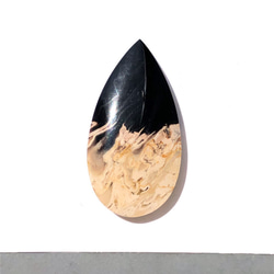 パームルートアゲート[36] 31x16mm 17Cts 珪化木 　ルース／天然石 / カボション 1枚目の画像