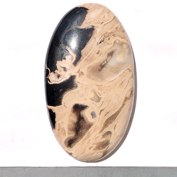 パームルートアゲート[43] 40x23mm 37Cts 珪化木 ルース／天然石