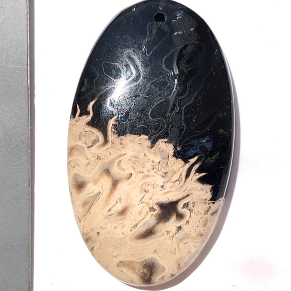 パームルートアゲート[46] 49x28mm 78Cts 珪化木 ルース／天然石