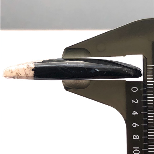 パームルートアゲート[46] 49x28mm 78Cts 珪化木 ルース／天然石