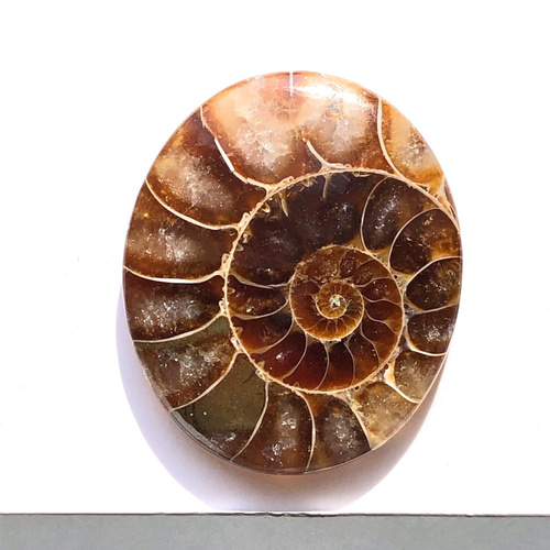 アンモナイト[86] 29x25mm 32Cts ルース ／天然石 ／ カボション 