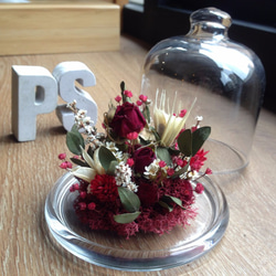 乾燥花 玻璃花盅 瓶中花園 微景觀 美女與野獸 客製化 花禮 第2張的照片