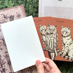 ミミズクと猫 瓜ふたつポストカード（3枚セット） 3枚目の画像