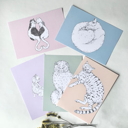 キレイ色　猫のポストカードセット（５枚セット） 5枚目の画像