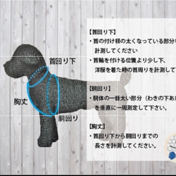 【人気商品】お名前入り　サテンリボンとパール×ゴールドのガーリーなハーネス・リードセット 犬 猫 10枚目の画像