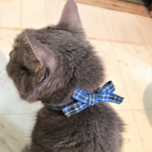 軽くて柔らか】ブルーチェック×後ろリボンの初めて首輪 犬猫 リード