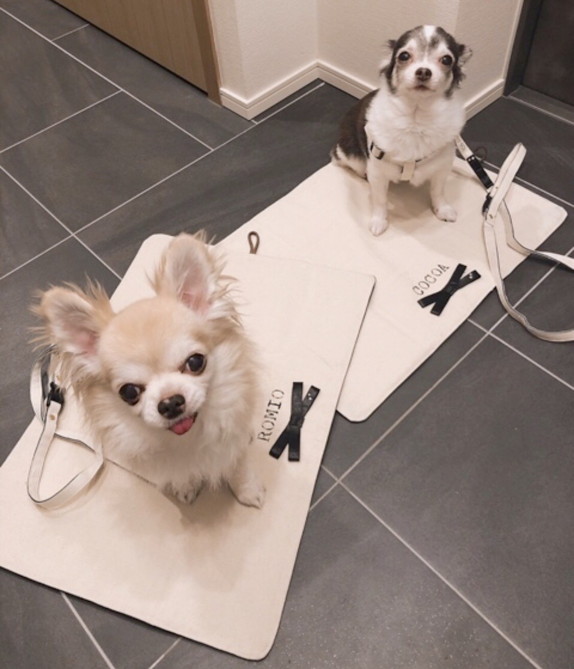 カフェマット お名前入り 生成×デニム リバーシブル 小型犬