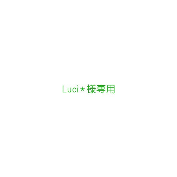 Luci⋆様専用 1枚目の画像