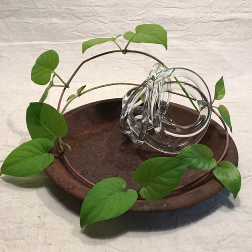 紅百貨店　一輪挿し iroame 一輪挿し