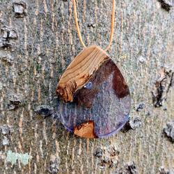樹脂木頭吊飾項鍊  樹酯 resin wood necklace 第3張的照片