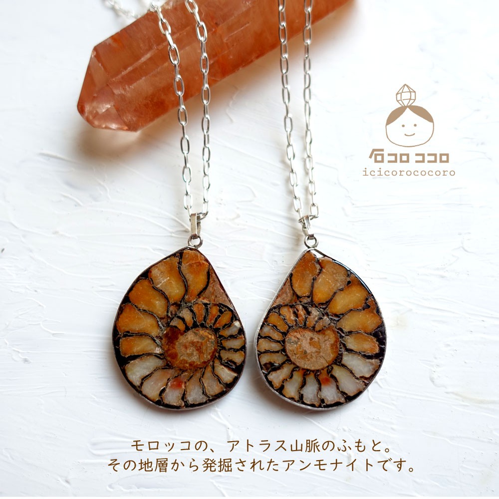 古代ロマン‼️アンモナイト ペンダント トップ(水晶は付きません) 古代ロマン‼️アンモナイト ペンダント トップ(水晶は付きません