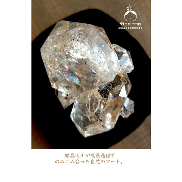 【1点モノ】◆ 愛で石 ハーキマー ! ◆３. くま クラスター(オイル入り) 6枚目の画像