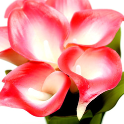 【2ndFloor】LEDフラワー 造花 Lily（ユリ）レッド / 光るフェイクグリーン 2枚目の画像