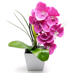 【2ndFloor】LEDフラワー 造花 Orchid（胡蝶蘭）パープル / 光るフェイクグリーン 1枚目の画像