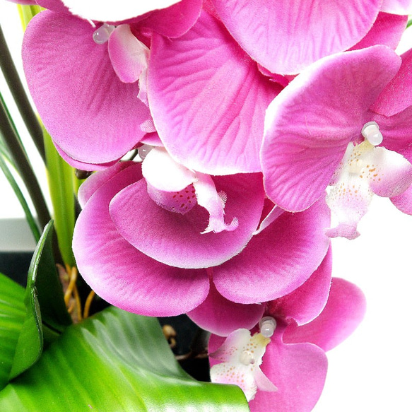 【2ndFloor】LEDフラワー 造花 Orchid（胡蝶蘭）パープル / 光るフェイクグリーン 2枚目の画像