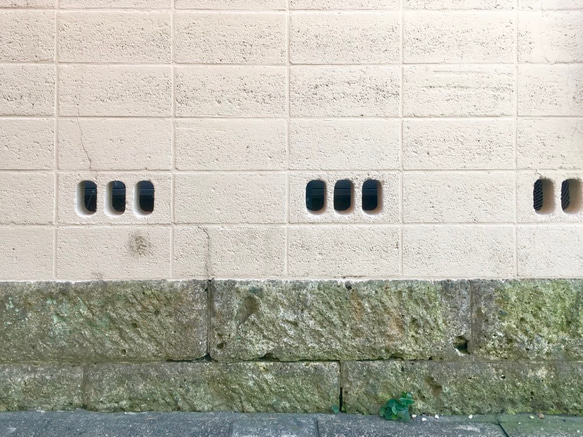 2way 刺繍ピアス/イヤリング 春色 スプリングカラー コットンパール使用「hey! "塀" series」 6枚目の画像