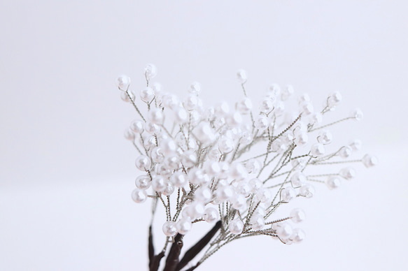 gypsophila head parts〜かすみ草 3枚目の画像