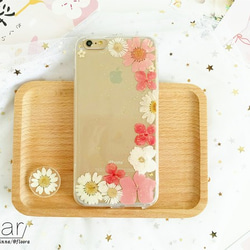 めぐみんページ★押し花ケース 0_60111dbe1ba012e71ea36a4edf3b
