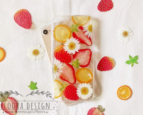 2_7ba65f3f9d0b3f77ecbdba6deaa2