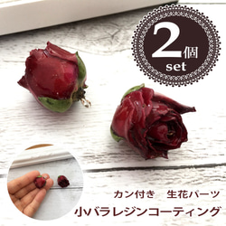 【2個】25mm ボルドー バラ 生花 レジンコーティングパーツ カン付き 1枚目の画像