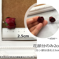 【2個】25mm ボルドー バラ 生花 レジンコーティングパーツ カン付き 2枚目の画像