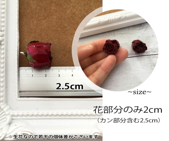 【2個】25mm ボルドー バラ 生花 レジンコーティングパーツ カン付き 2枚目の画像