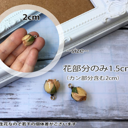 【2個】20mm 薔薇のつぼみ 生花 レジンコーティングパーツ カン付き 2枚目の画像