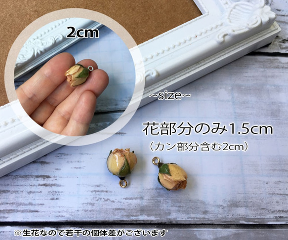 【2個】20mm 薔薇のつぼみ 生花 レジンコーティングパーツ カン付き 2枚目の画像