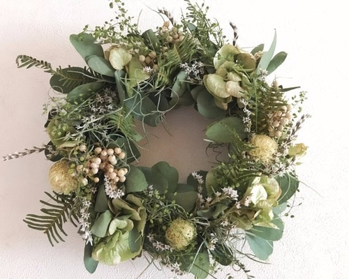 ユーカリとタタリカのリース ドライフラワー nonoka* 通販 4743416