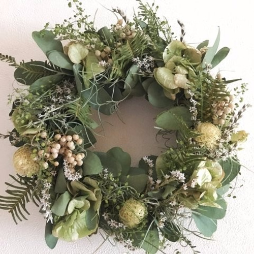 ユーカリとタタリカのリース ドライフラワー nonoka* 通販 4743416