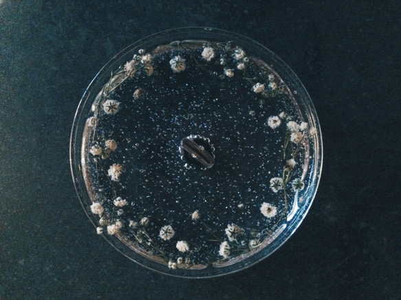 乾花植物透明蠟燭 / 光透透 第8張的照片
