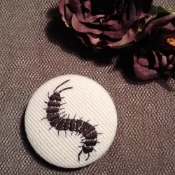 刺繍ブローチ ~ムカデ~ 1枚目の画像