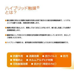 【sold out】空気触媒生地 マスク (メンズ向き) 4枚目の画像